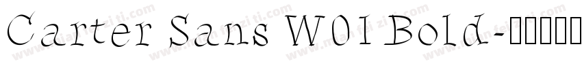 Carter Sans W01 Bold字体转换